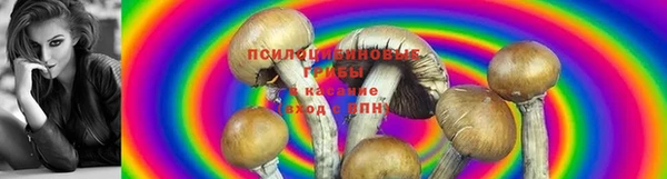 2c-b Тольятти