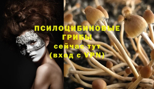 2c-b Тольятти