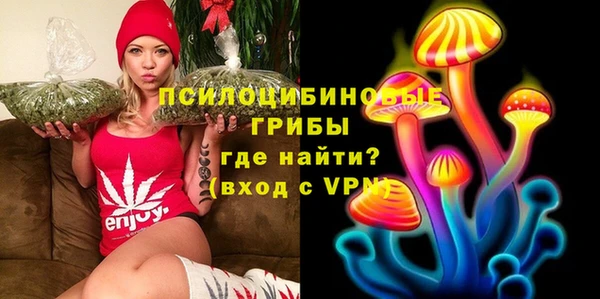 альфа пвп Куйбышев