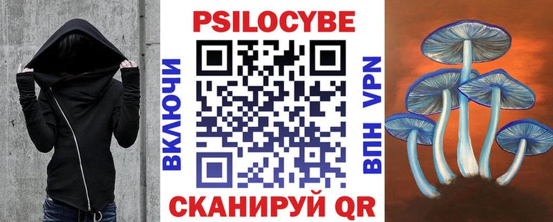 как найти наркотики  Ставрополь  Галлюциногенные грибы Magic Shrooms 