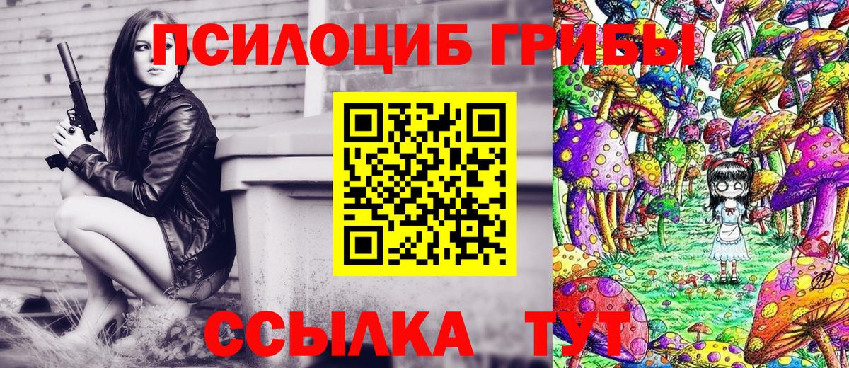 Ставрополь  Псилоцибиновые грибы ЛСД  Псилоцибиновые грибы Magic Shrooms  Вход с VPN 